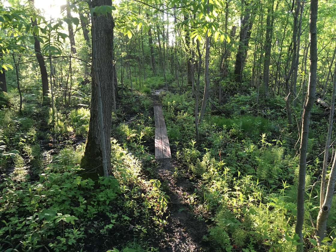 Amity Creek Camp Hipcamp in Duluth, Minnesota