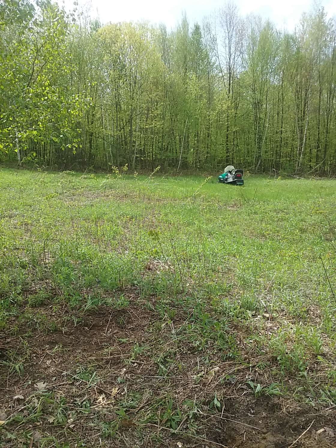 Rattlesnake Brook Camp Hipcamp in Bennington, Vermont