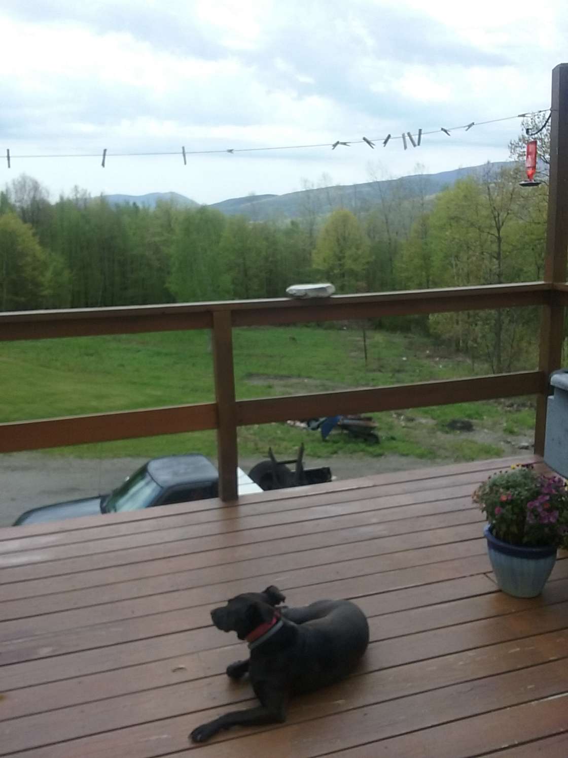 Rattlesnake Brook Camp Hipcamp in Bennington, Vermont