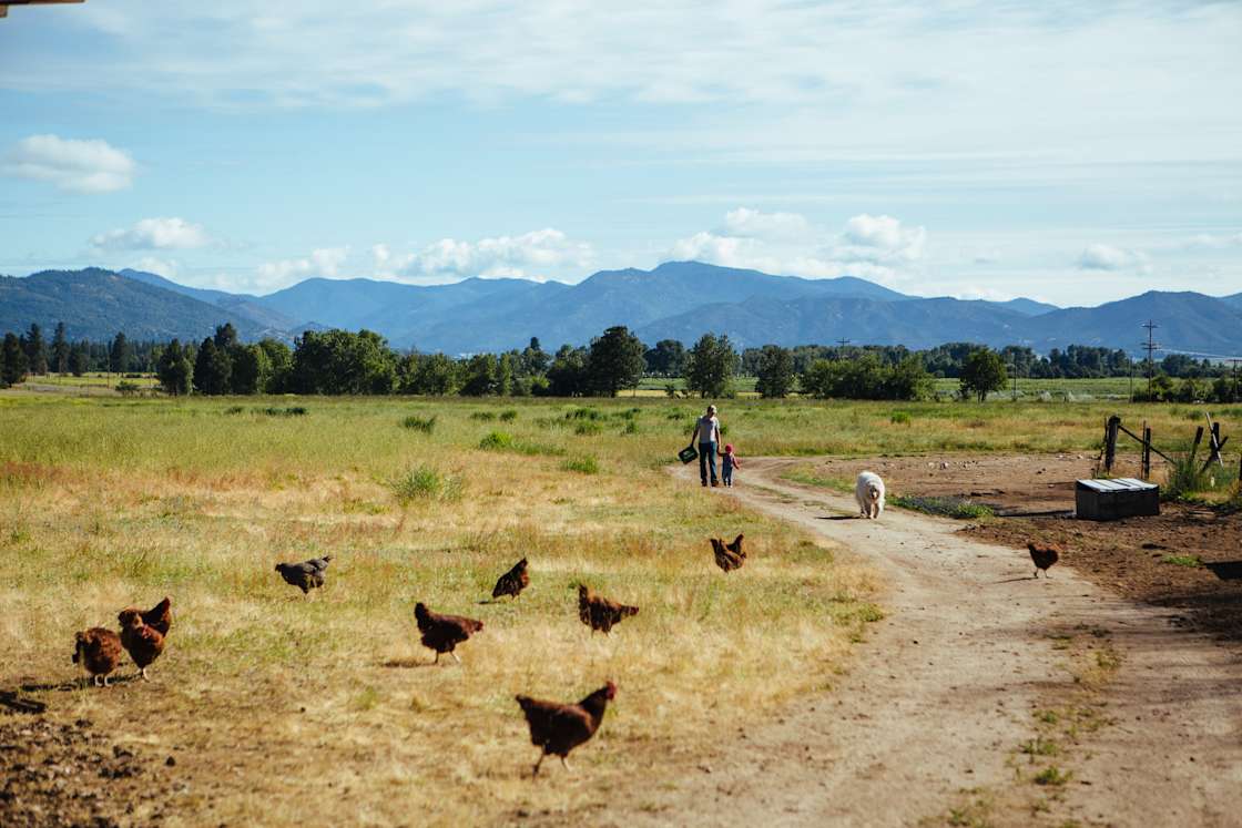 Rockside Ranch Hipcamp in Etna, California