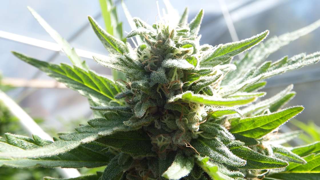 Off Grid in Aspen Springs, Co Hipcamp in Pagosa Springs, Colorado