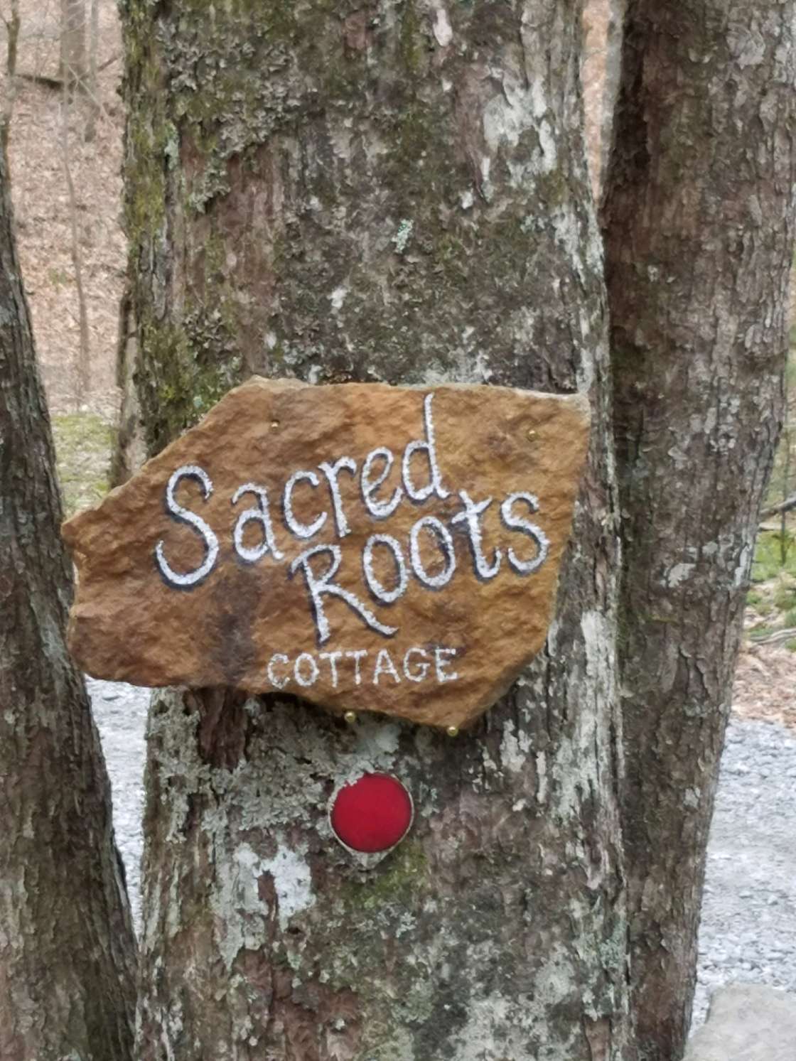 Sacred Roots Hipcamp in Rosman, North Carolina