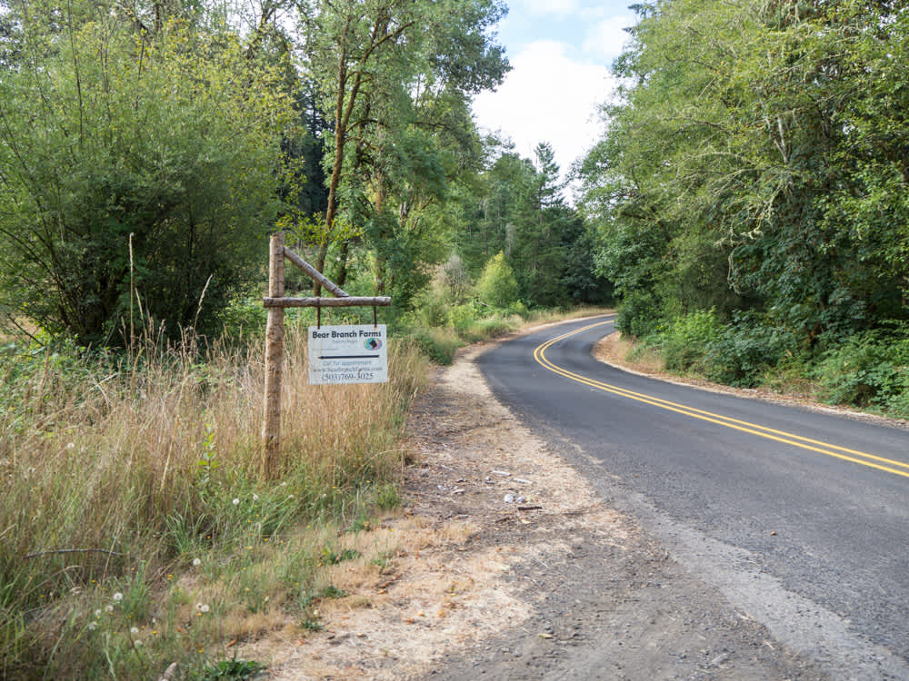Bear Branch Farms' Camping Hipcamp in Stayton, Oregon