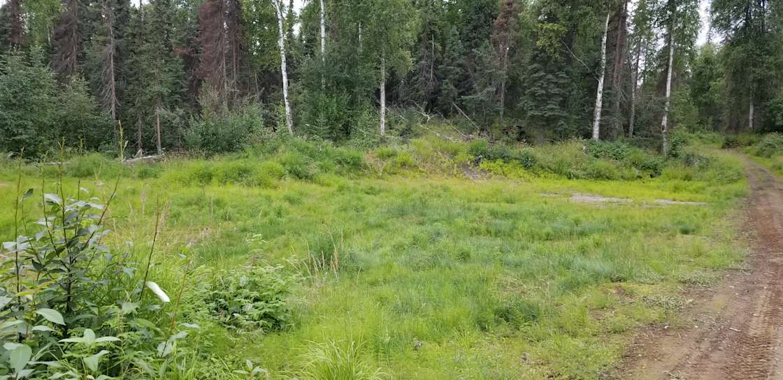 Moose Trail lodging and camping Hipcamp in Willow, Alaska