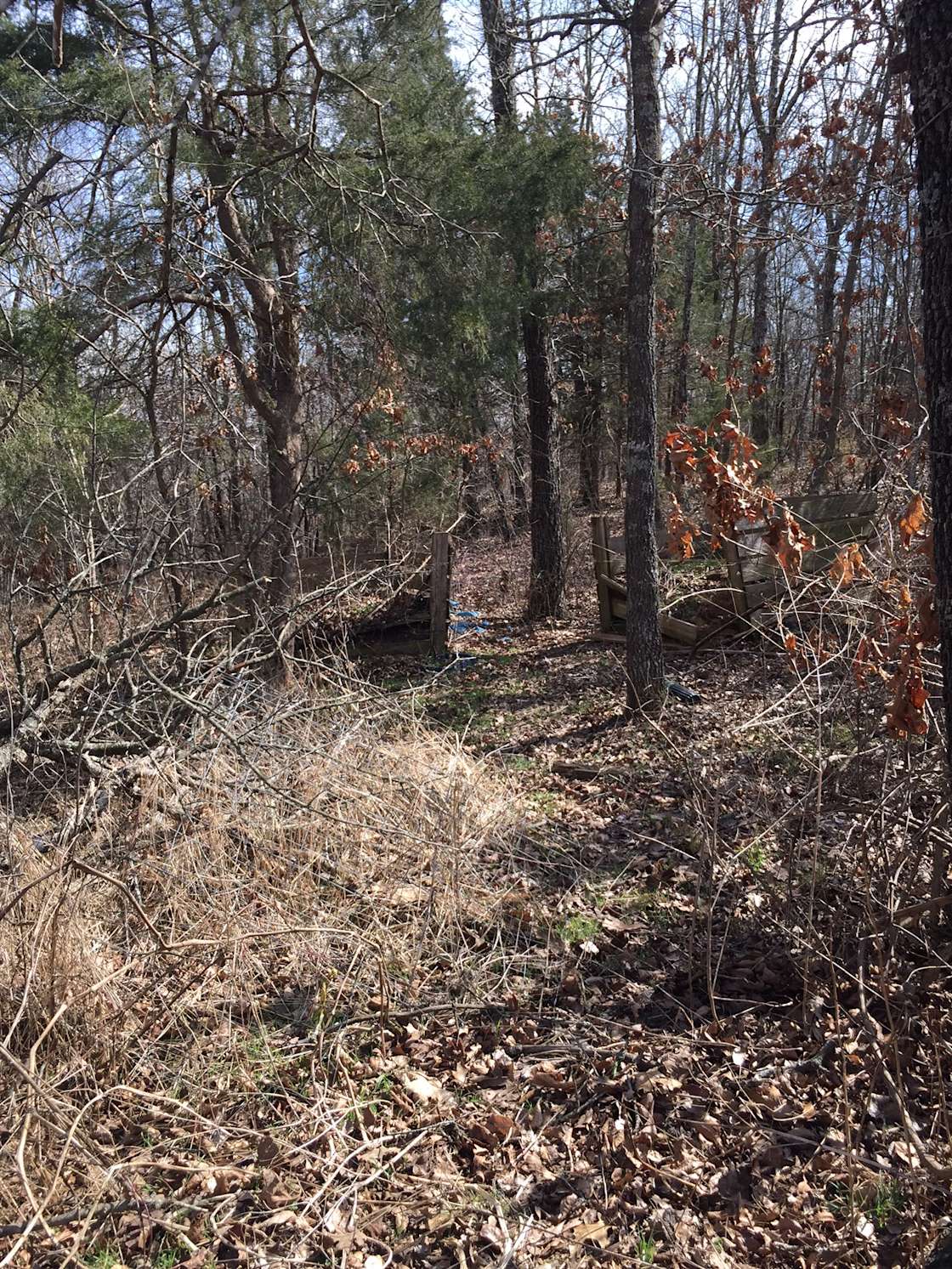 Rainbow Ridge Hipcamp in Edgar Springs, Missouri
