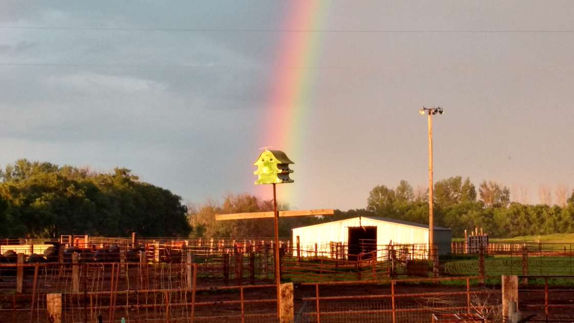 The McLeod Experience Hipcamp in Mc Leod, North Dakota