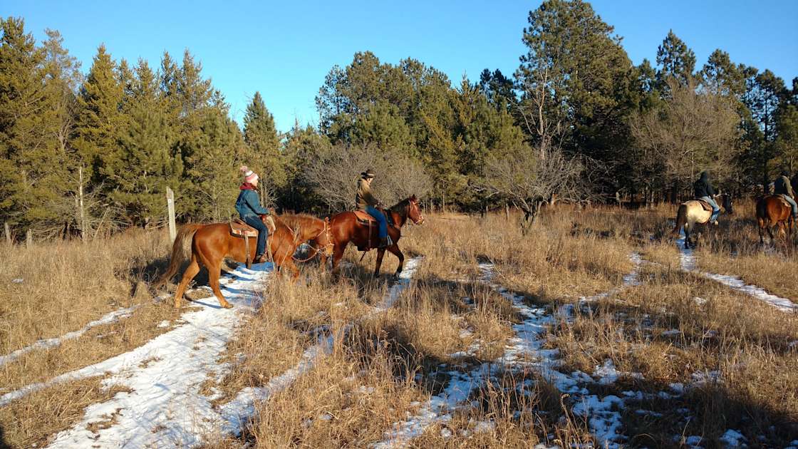 The McLeod Experience Hipcamp in Mc Leod, North Dakota