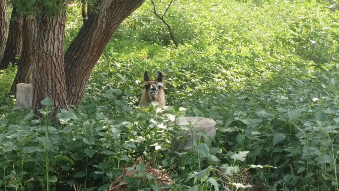 The McLeod Experience Hipcamp in Mc Leod, North Dakota