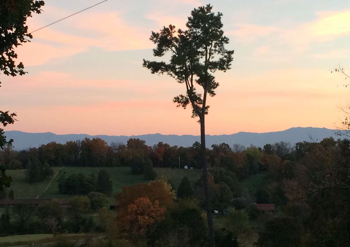 Bay’s Mountain Retreat Hipcamp in New Market, Tennessee