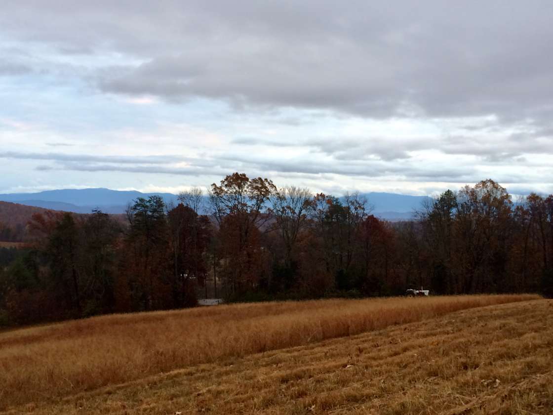 Bay’s Mountain Retreat Hipcamp in New Market, Tennessee
