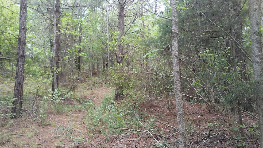 Crook Wilderness Retreat Hipcamp in Mc Kenzie, Alabama