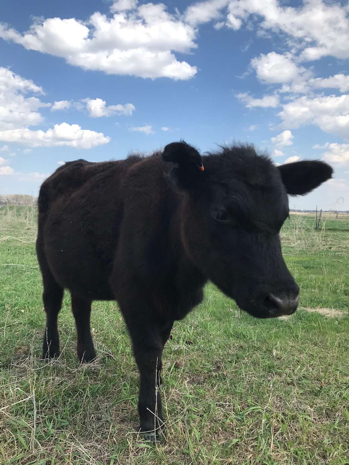 TNT Ranch Hipcamp in Colome, South Dakota