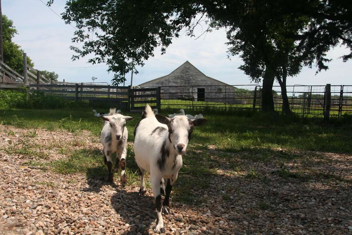 TNT Ranch Hipcamp in Colome, South Dakota