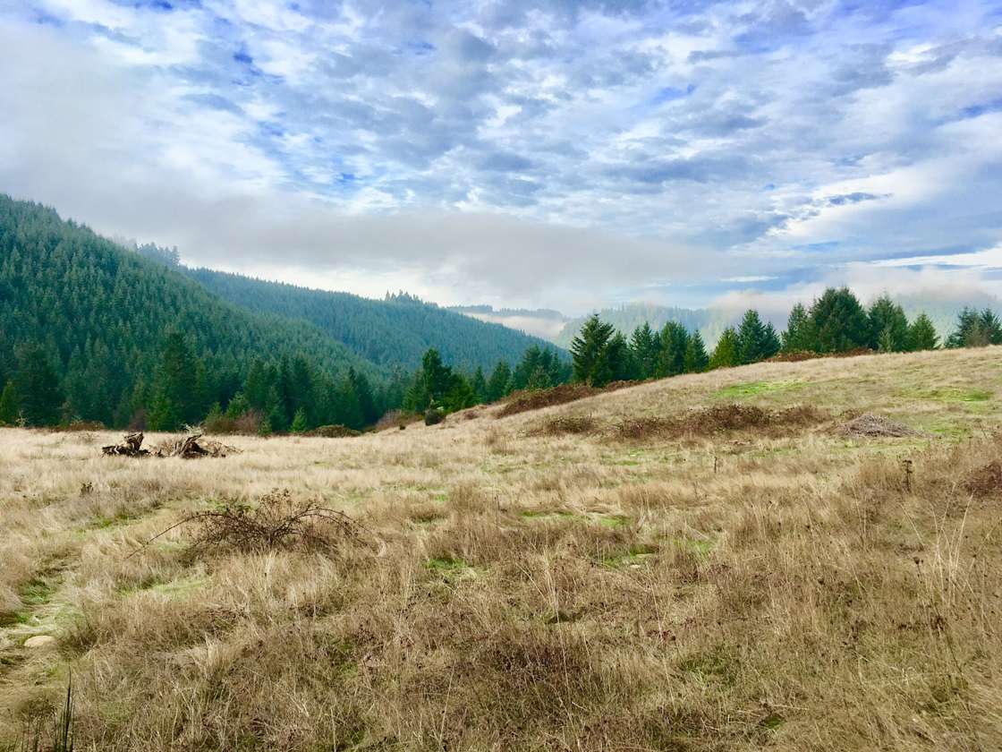 Farm Tours at Helios Farms Hipcamp in Yoncalla, Oregon