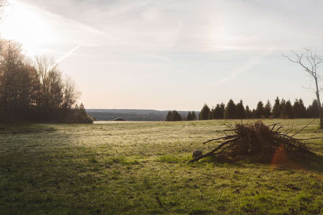 Labrador Lodge Hipcamp in Arcade, New York