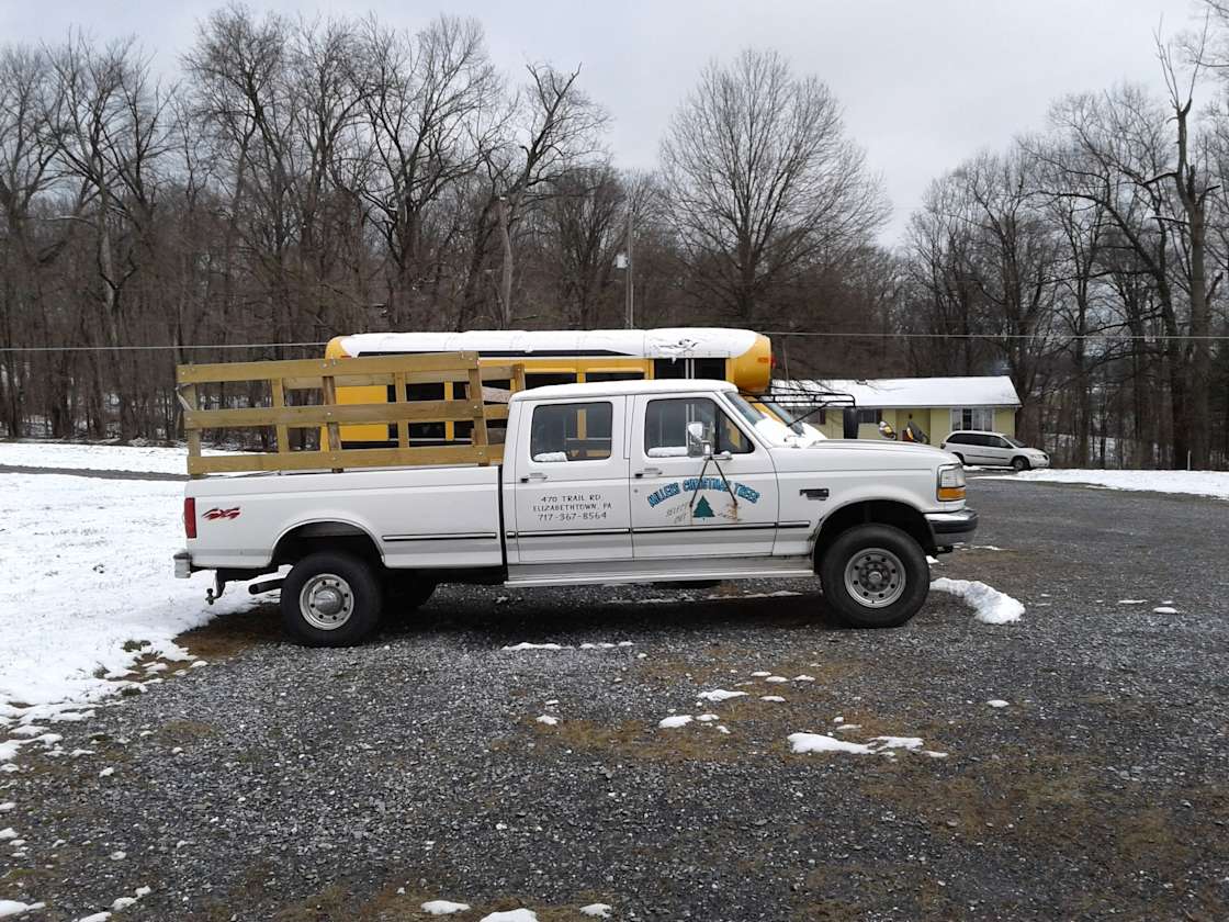 Christmas Tree Farm with Views Hipcamp in Elizabethtown, Pennsylvania