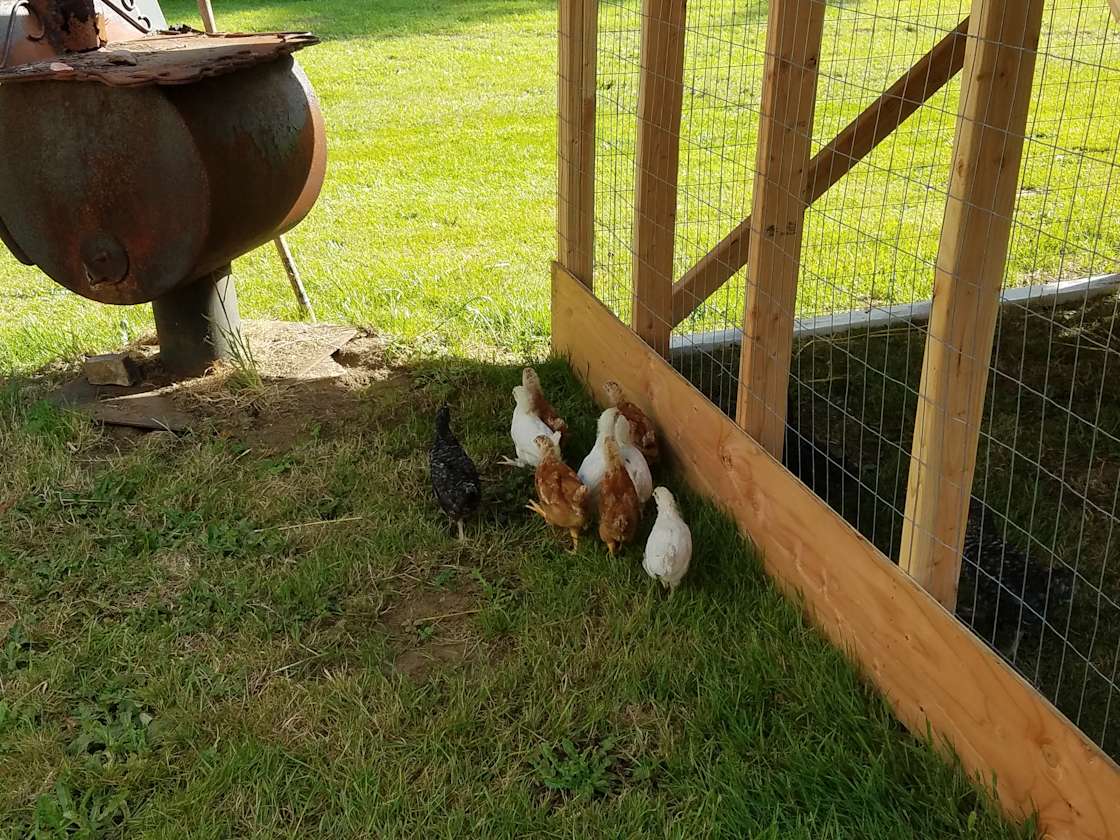 Chrome Acres, Montesano WA Hipcamp in Montesano, Washington