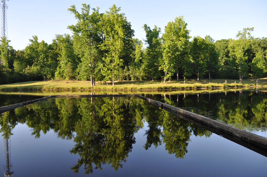 Camp Henning at Ellerbe Springs Hipcamp in Ellerbe, North Carolina