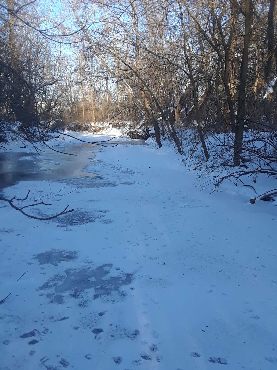 CoGro Cooperative at Deer Creek Hipcamp in Sauk Village, Illinois