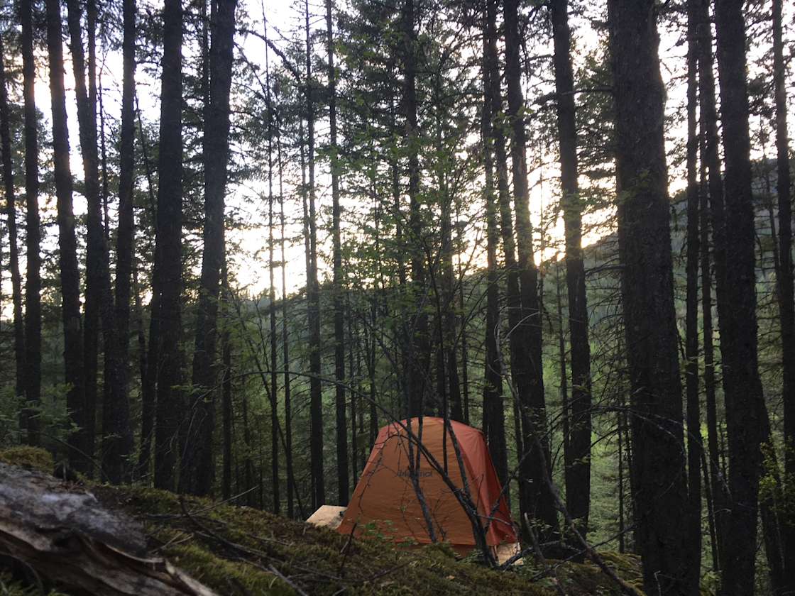 Wildflowers Hipcamp in Sandpoint, Idaho