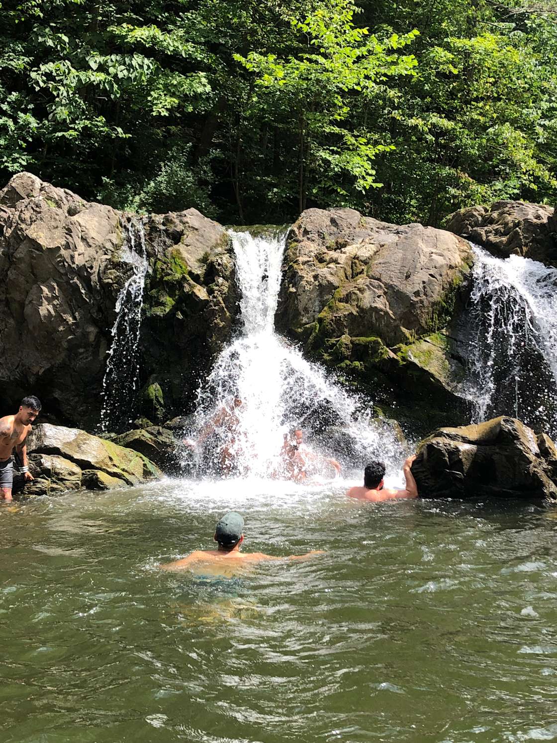 Magic Forest Farm Hipcamp in Coeymans Hollow, New York