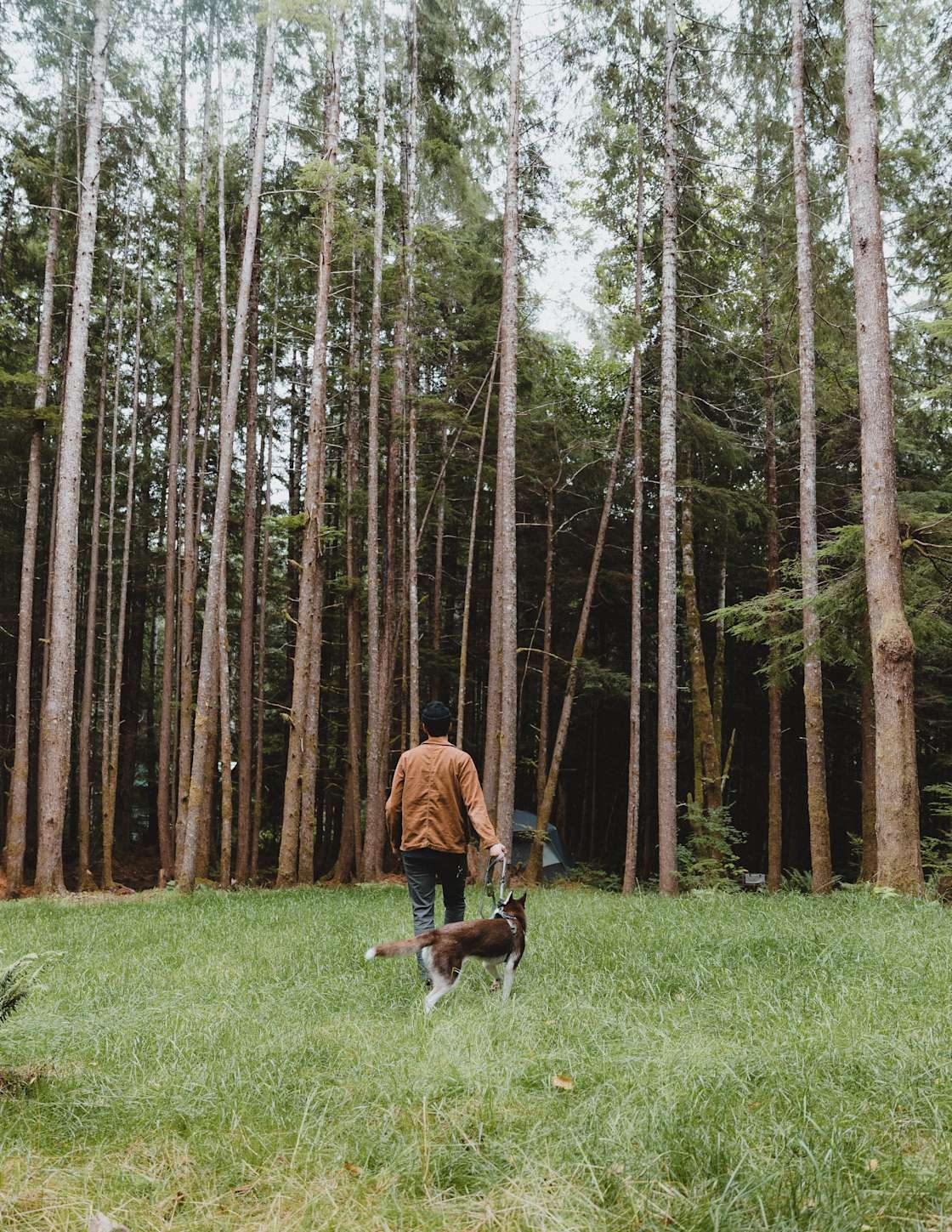 sol duc rainforest retreat - Hipcamp in Port Angeles, Washington