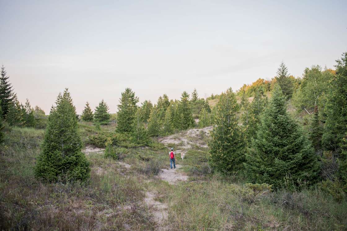 Hygge Dune Camp Hipcamp in Elberta, Michigan