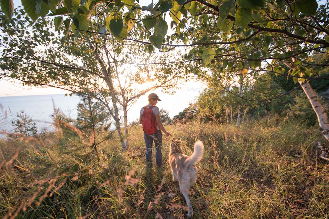 Hygge Dune Camp Hipcamp in Elberta, Michigan