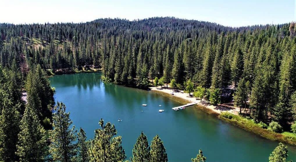 Woodhaven - Arnold Lake Cabin - Hipcamp in Arnold, California