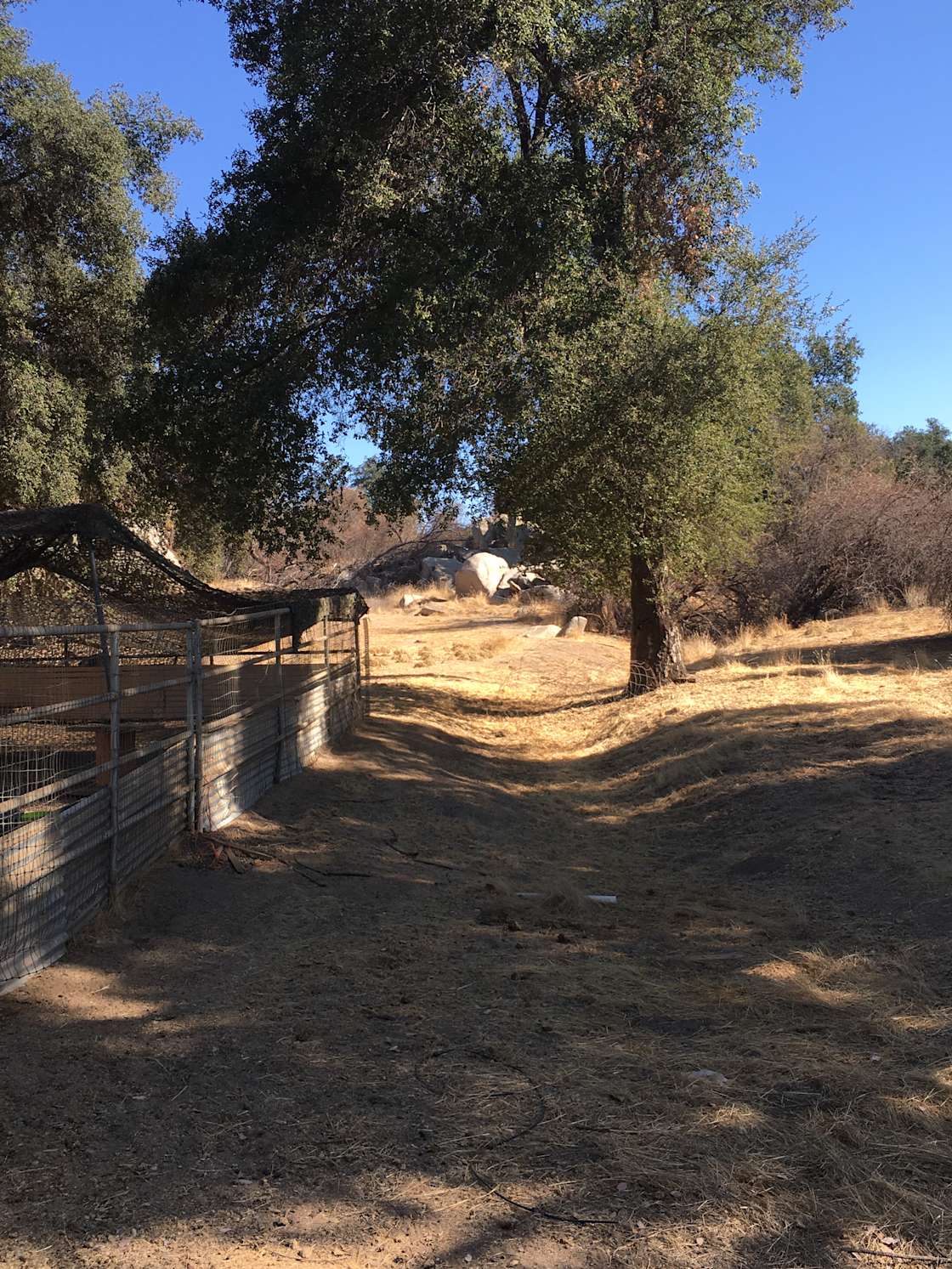 Prosper Farm - Hipcamp in Hemet, California