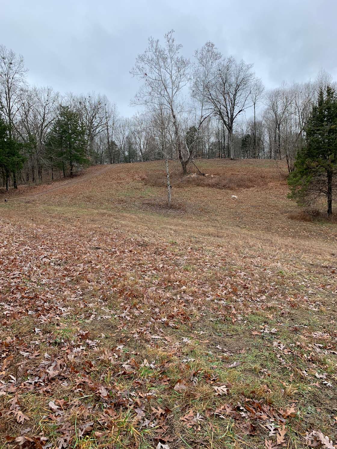 Dale lane campers village - Hipcamp in Hilham, Tennessee