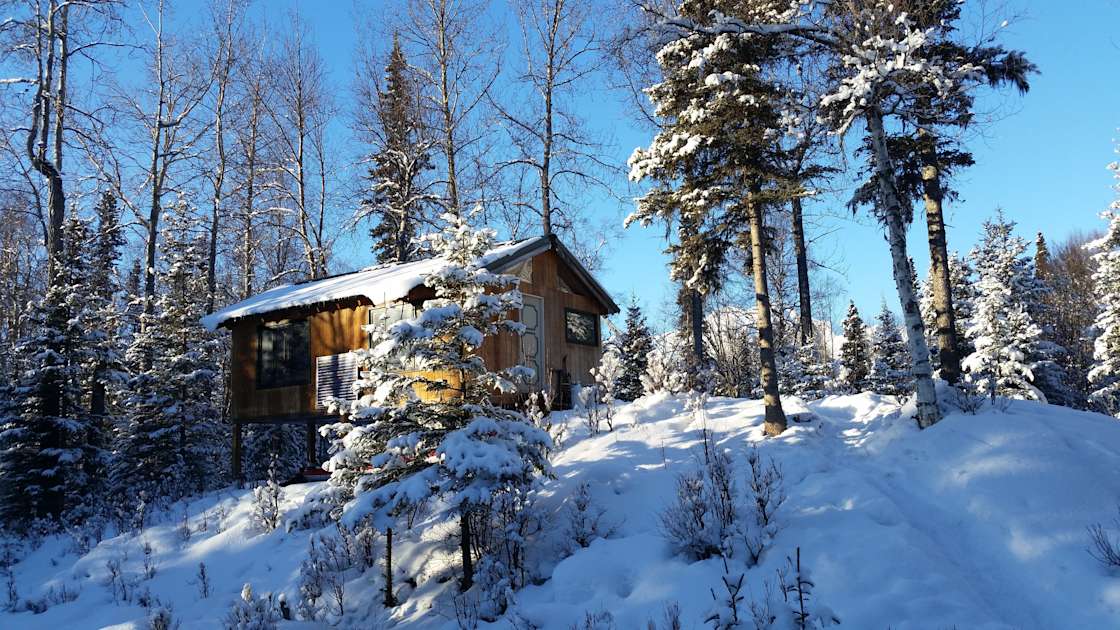 Chickaloon cabin in the forest Hipcamp in Chickaloon, Alaska