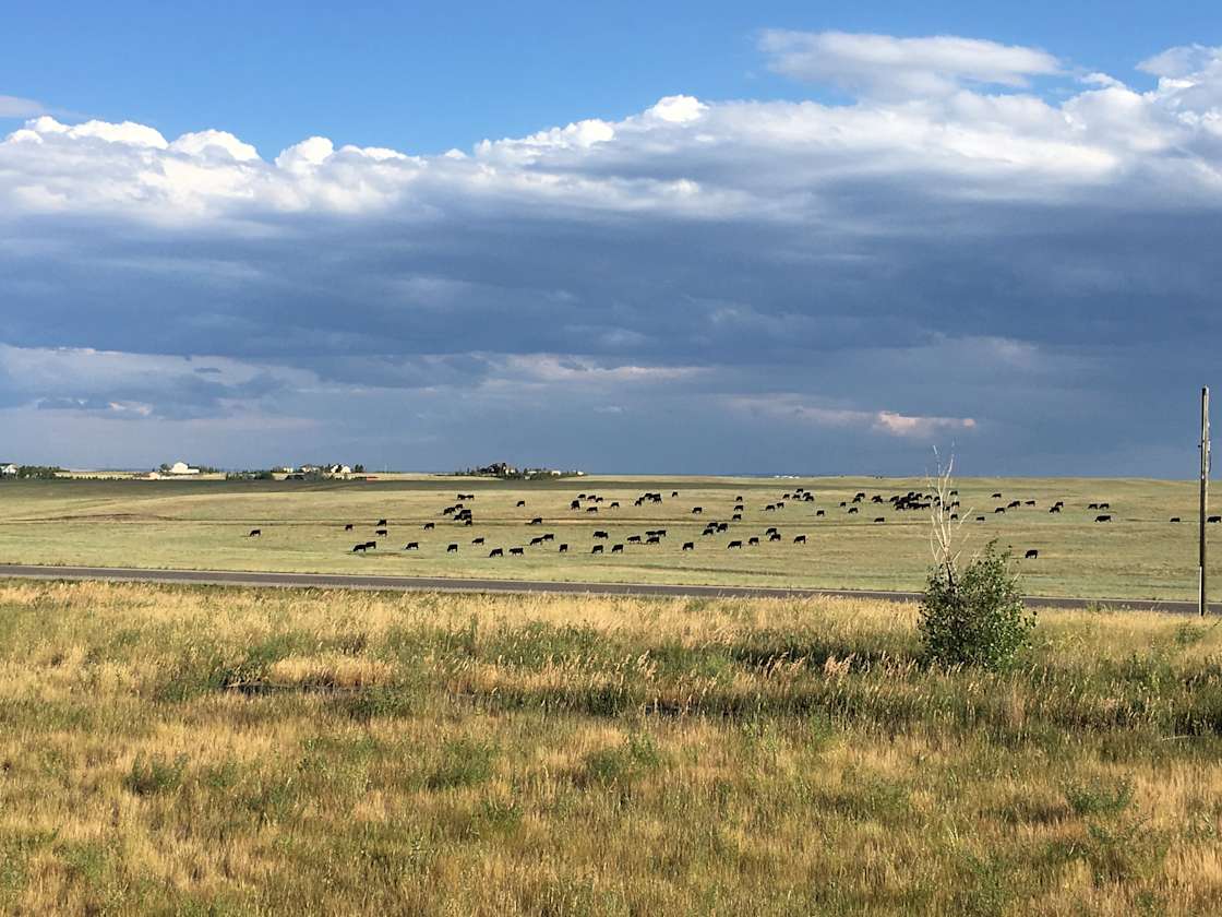 Cara S.’s Land Hipcamp in Cheyenne, Wyoming