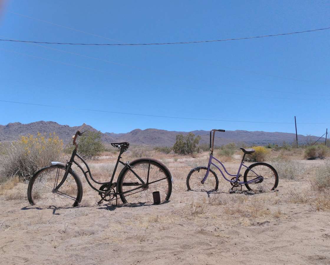 JTree getaway under the stars. Hipcamp in Joshua Tree, California