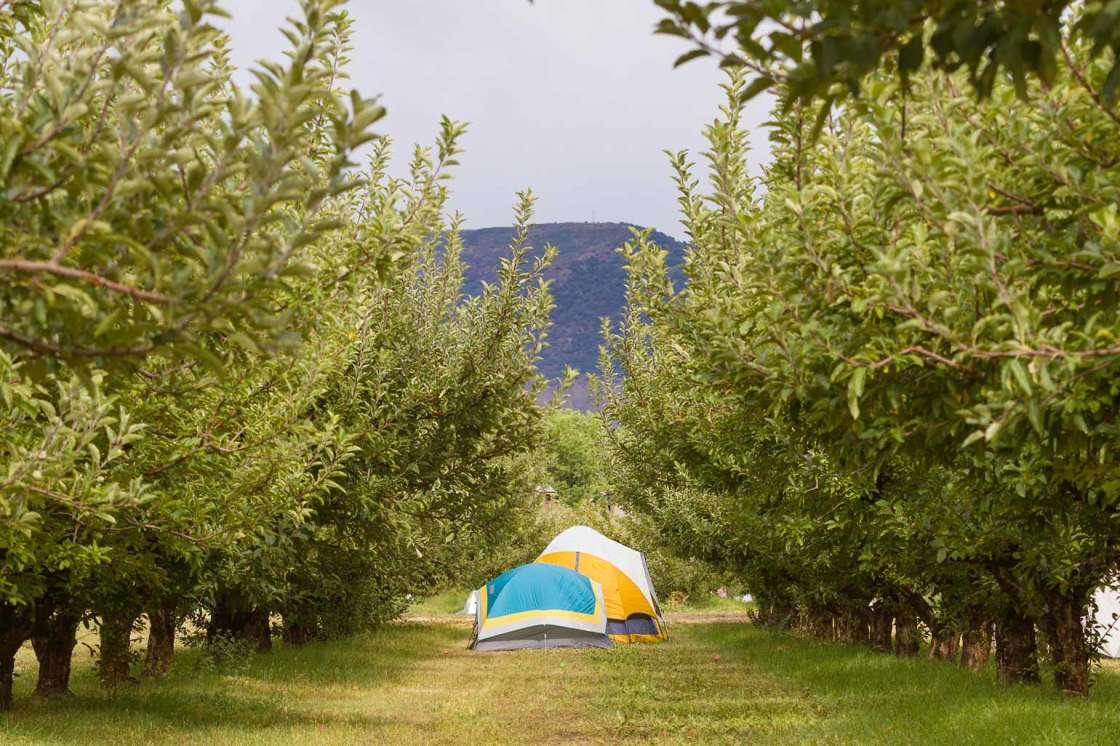 Big B's Delicious Orchard - Hipcamp In Hotchkiss, Colorado