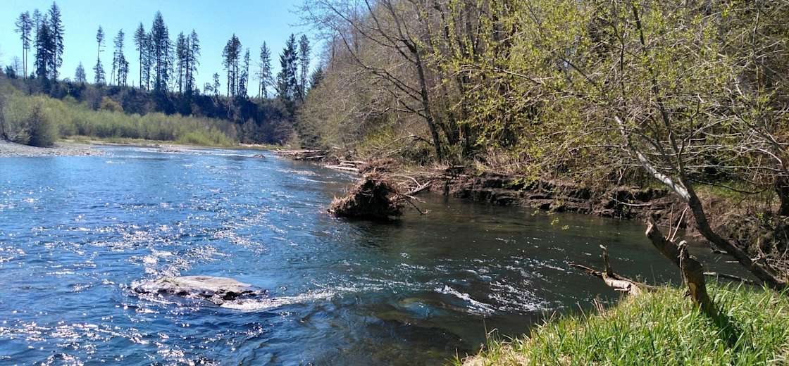 Forks Sol Duc Campground Hipcamp in Forks, Washington