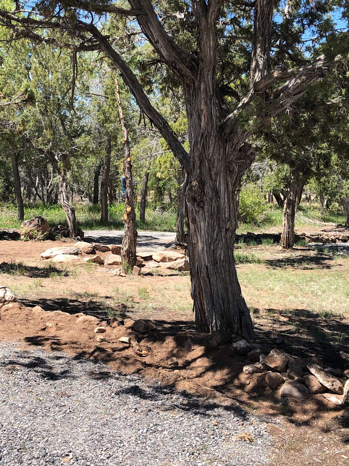 Red Earth Ranch Hipcamp in Hotchkiss, Colorado