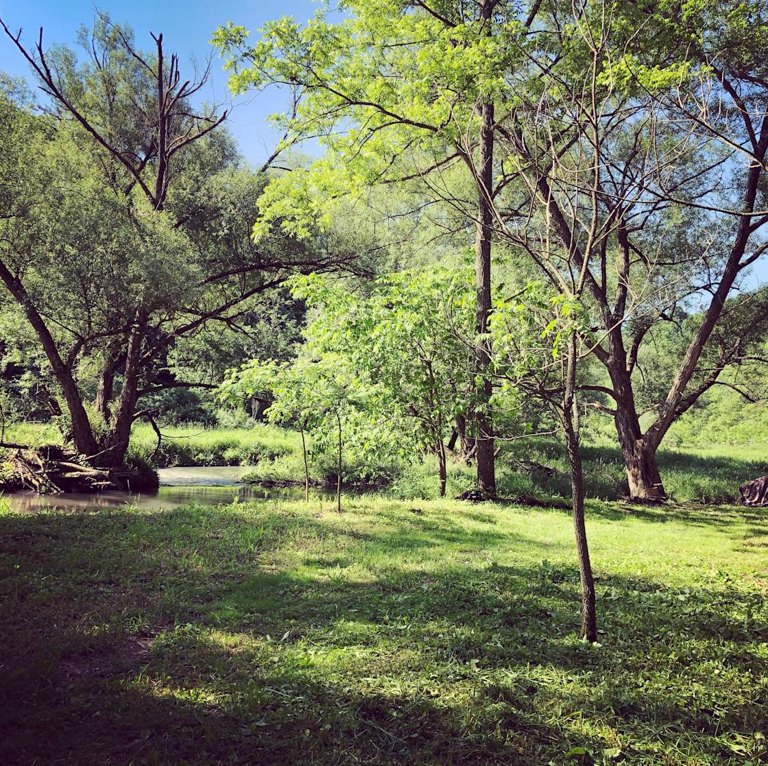 Brye Cabin and Bad Axe Camping Hipcamp in Viroqua, Wisconsin