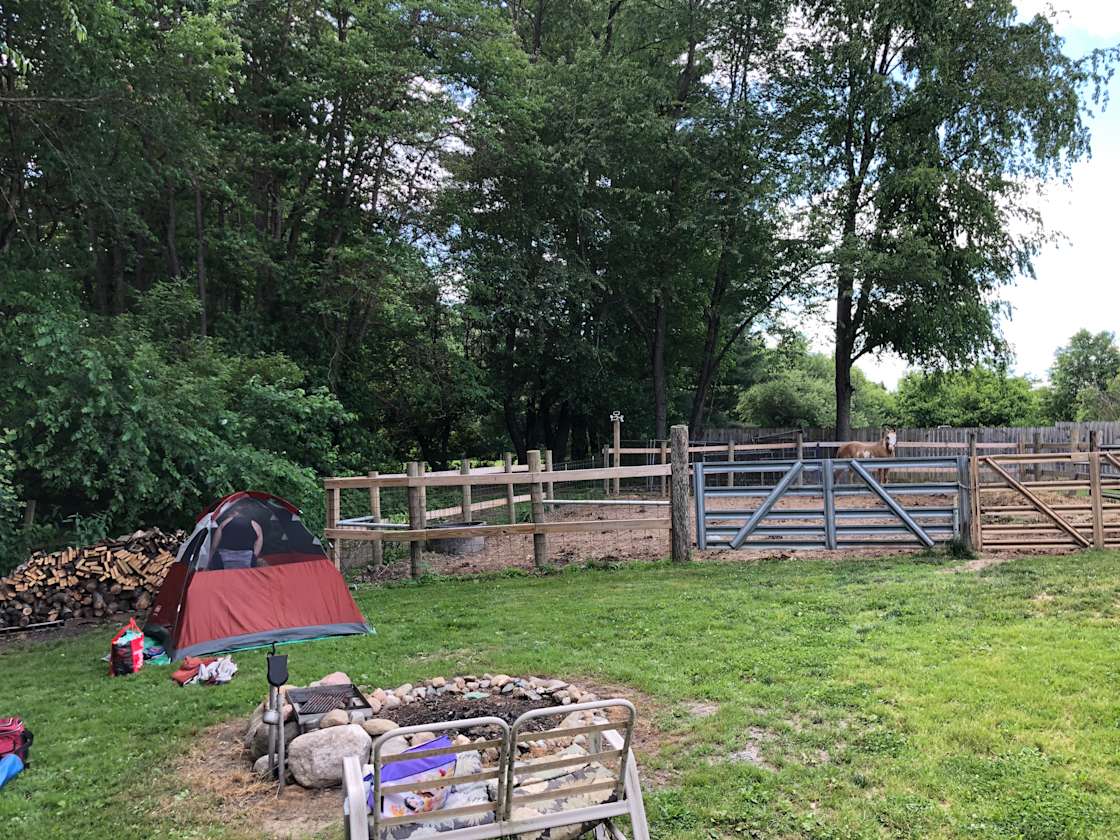 The Riding Stable and Resort Hipcamp in Lakeville, Indiana