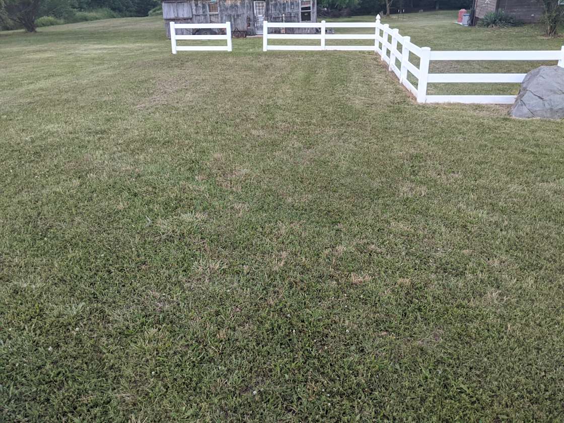 Pomme Camping Patch Hipcamp in Hermitage, Missouri