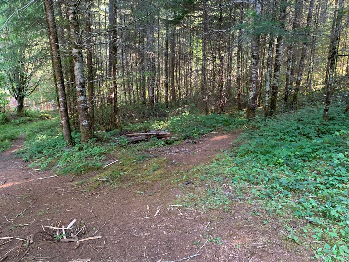 Wendy H.’s Land Hipcamp in Noti, Oregon