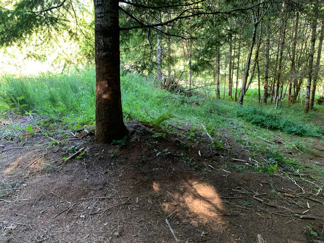 Wendy H.’s Land Hipcamp in Noti, Oregon