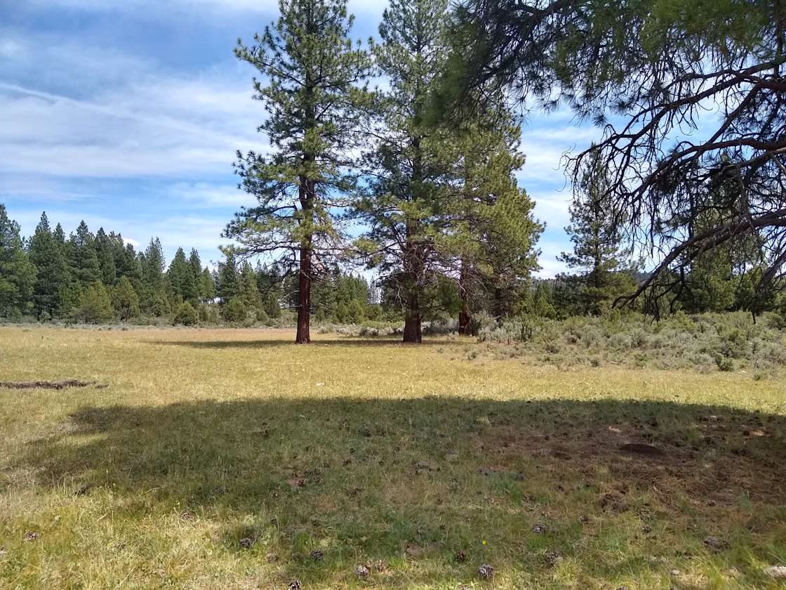 Sprague River Homestead Hipcamp in Sprague River, Oregon
