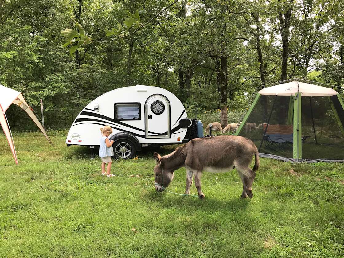 Petit Jean Farm Orchard Hipcamp in Morrilton, Arkansas