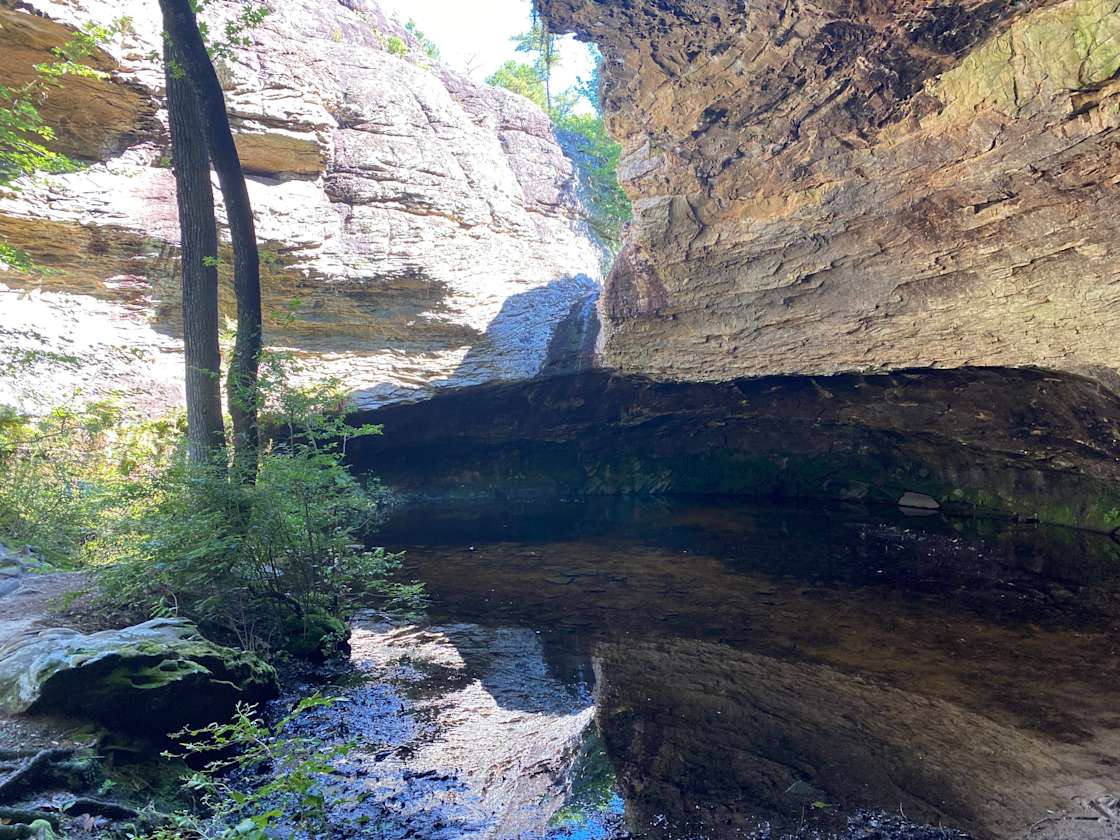 Petit Jean Farm Orchard Hipcamp in Morrilton, Arkansas