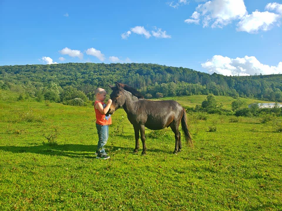 Triple Dream Farm Hipcamp in Smethport, Pennsylvania