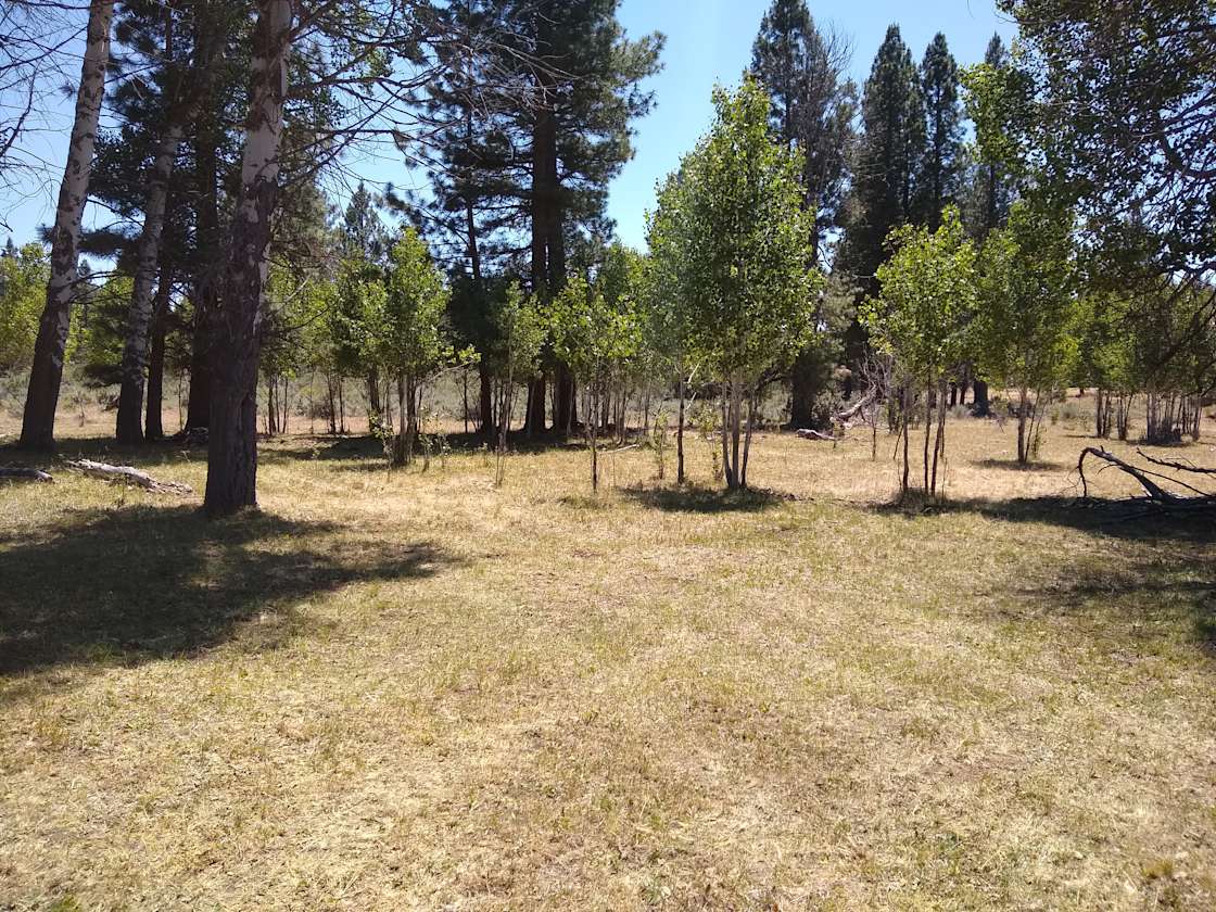 Sprague River Homestead Hipcamp in Sprague River, Oregon