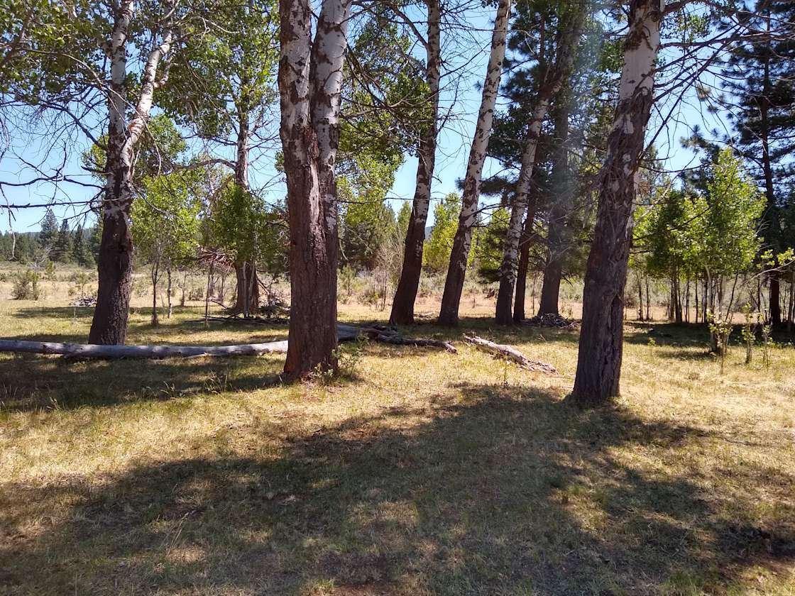 Sprague River Homestead Hipcamp in Sprague River, Oregon