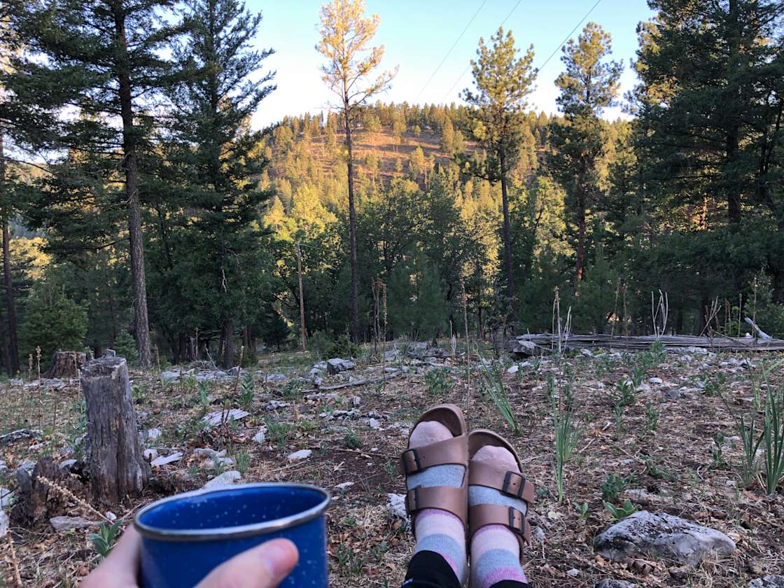 Edge of the Rez Hipcamp in Mescalero, New Mexico