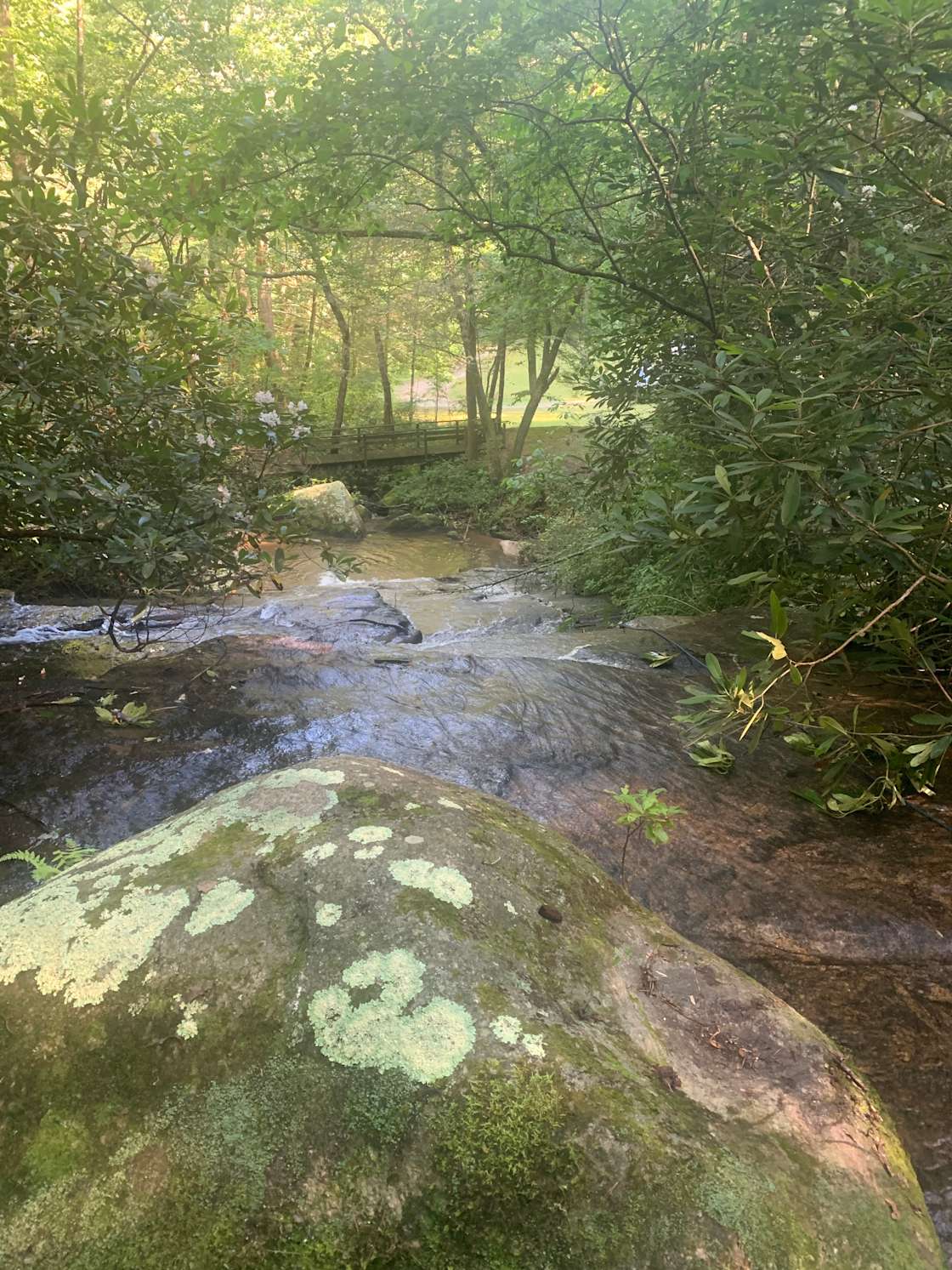 Zackary B.’s Land Hipcamp in Zirconia, North Carolina